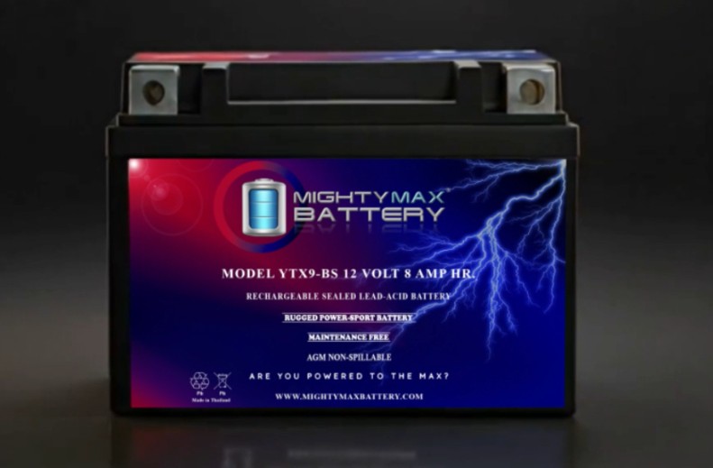 Amazon.com: Mighty Max Battery YTX9-BS Battery for Honda TRX700XX